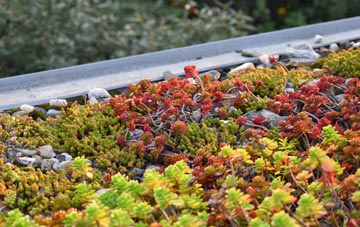 the cost of Silverhill Park green roof installation