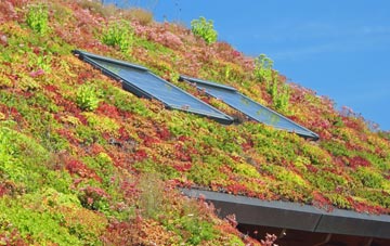 Silverhill Park living roof systems