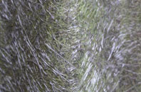 Silverhill Park fibreglass roof work